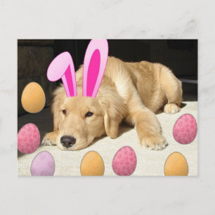 Golden Retriever Puppy Feiertagspostkarte