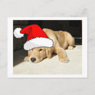 Golden Retriever Puppy Feiertagspostkarte