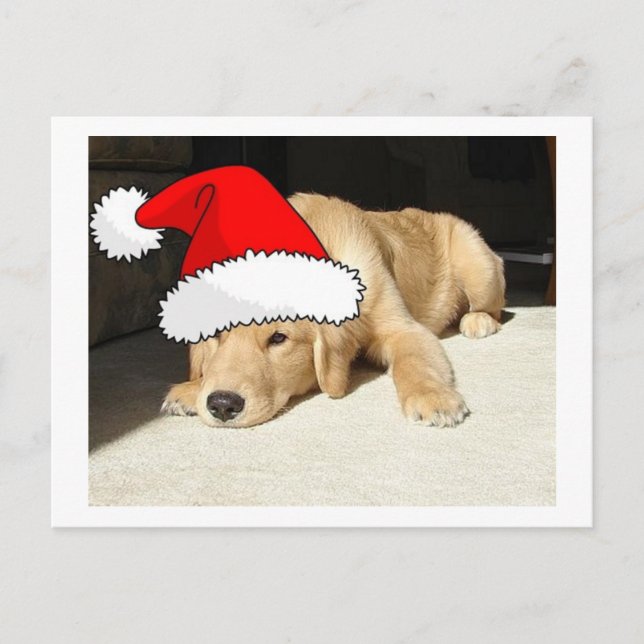 Golden Retriever Puppy Feiertagspostkarte (Vorderseite)