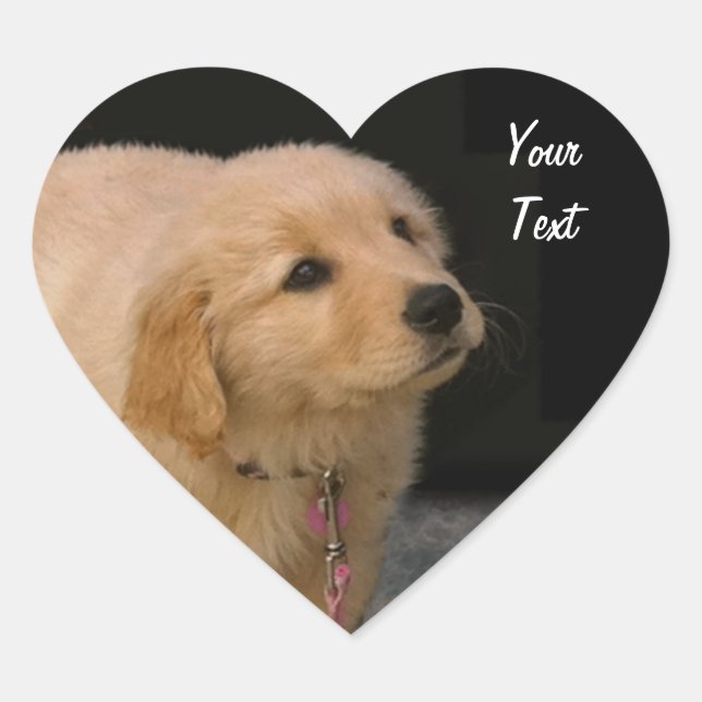 Golden Retriever Puppy Herz-Aufkleber (Vorderseite)