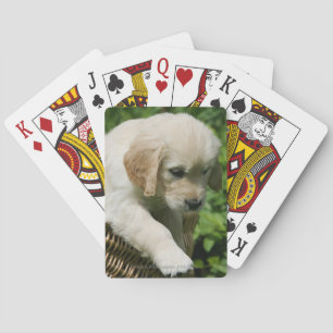 Golden Retriever Puppy in Basket Spielkarten