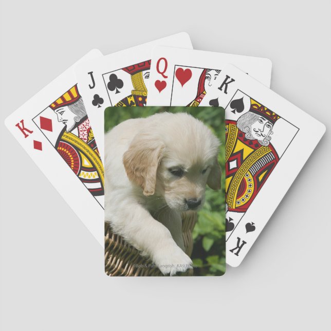 Golden Retriever Puppy in Basket Spielkarten (Rückseite)