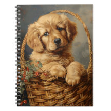 Golden Retriever Puppy in einem Korb