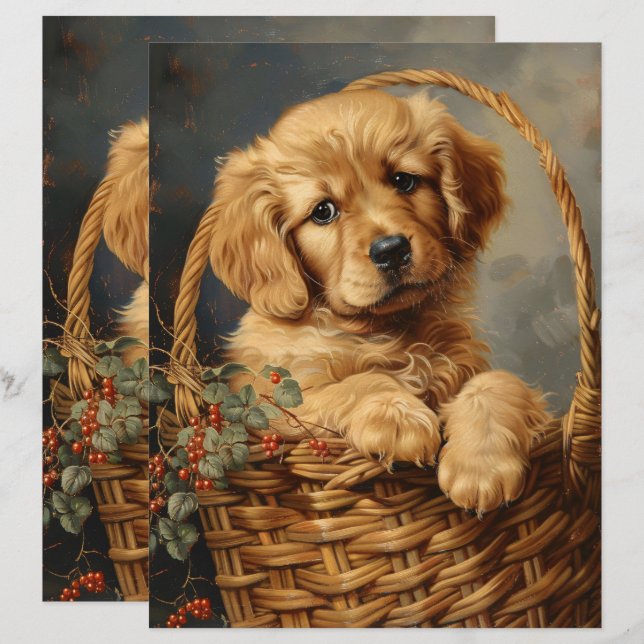 Golden Retriever Puppy in einem Korb-Scrapbook (Vorne/Hinten)