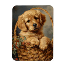 Golden Retriever Puppy in einem Körbchen flexibel