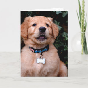 Golden Retriever Puppy Karte