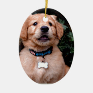 Golden Retriever Puppy Keramikornament