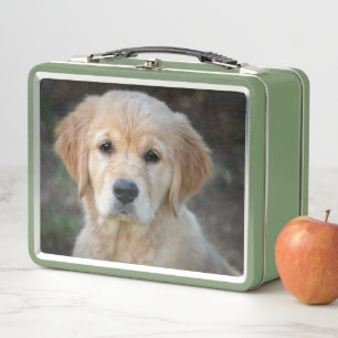 Golden Retriever Puppy Metall Brotdose