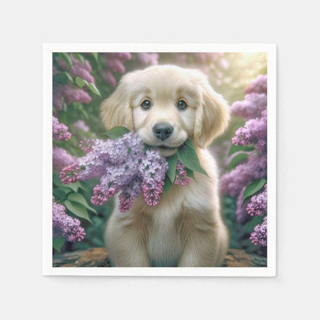 Golden Retriever Puppy mit Lilacs Serviette (Vorderseite)