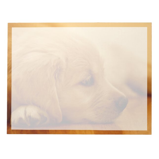 Golden Retriever Puppy Notizblock (Vorderseite)