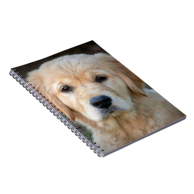 Golden Retriever Puppy Notizblock (Rechte Seite)