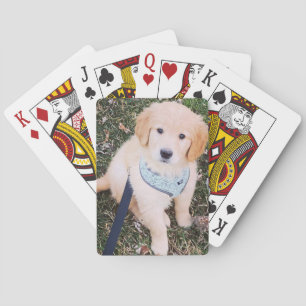 Golden Retriever Puppy Playing Cards Spielkarten