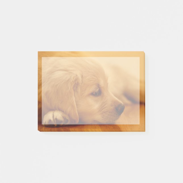Golden Retriever Puppy Post-it Klebezettel (Vorderseite)