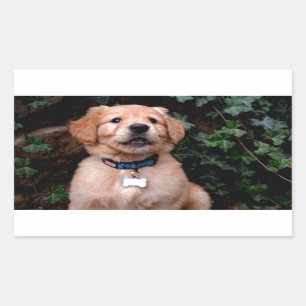 Golden Retriever Puppy Rechteckiger Aufkleber