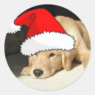 Golden Retriever Puppy Runder Aufkleber