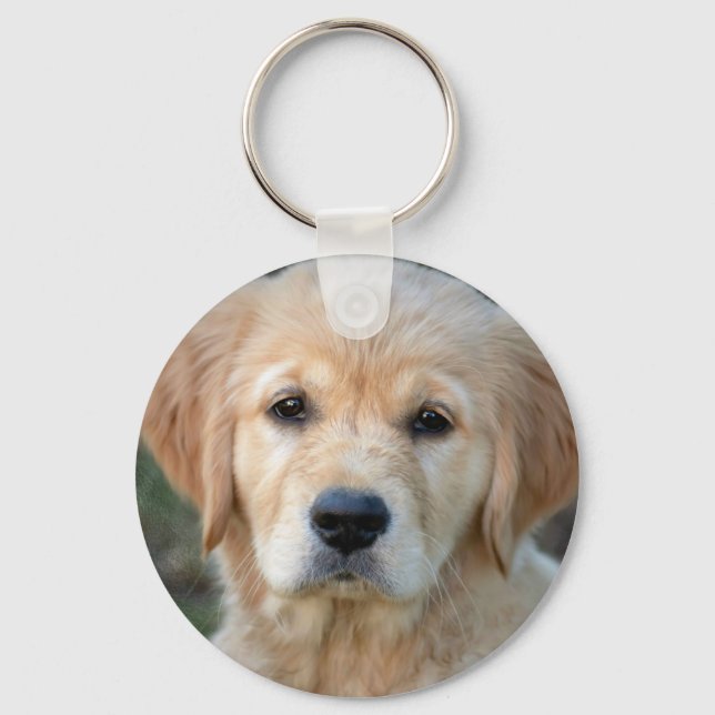 Golden Retriever Puppy Schlüsselanhänger (Vorderseite)