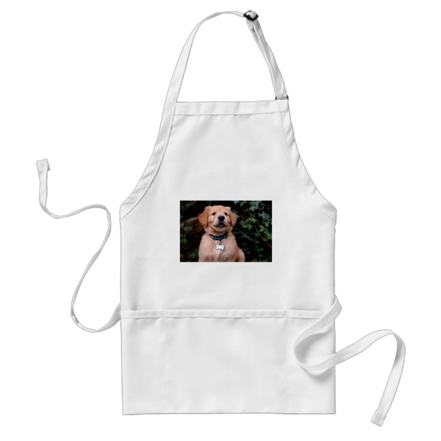 Golden Retriever Puppy Schürze (Vorne)