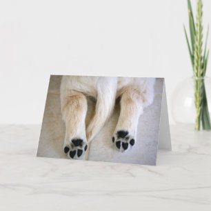 Golden Retriever Puppy Toes Karte