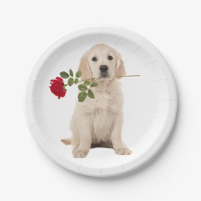 Golden Retriever Puppy Wedding Party Pappteller (Vorderseite)