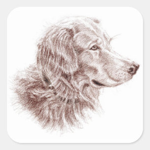 Golden Retriever Quadratischer Aufkleber