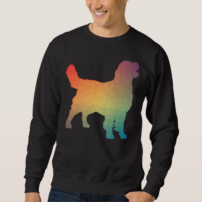 Golden Retriever Rainbow Geometric Sweatshirt (Vorderseite)