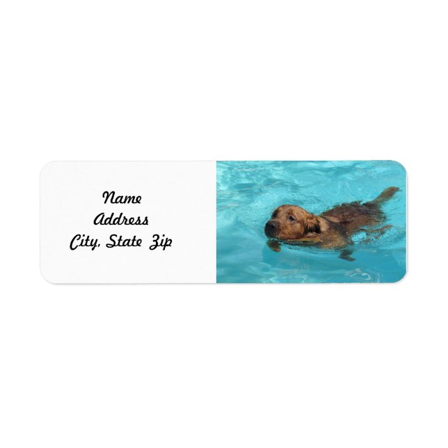 Golden Retriever Return Address Label, Swim (Vorne)