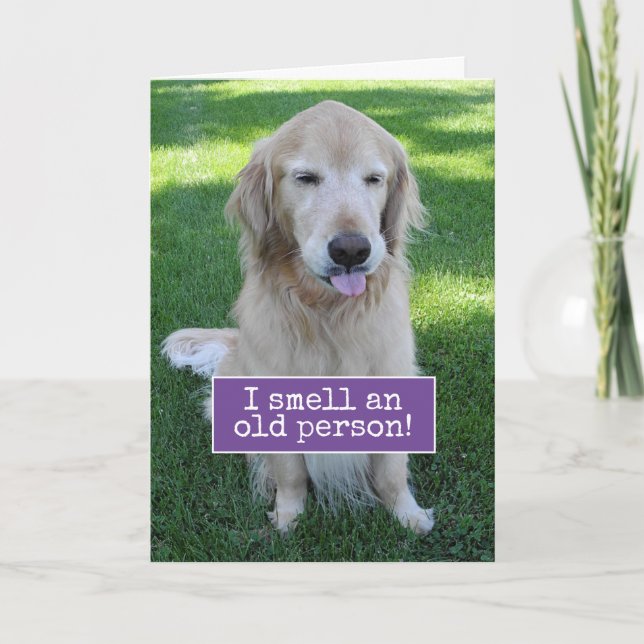 Golden Retriever riecht nach einem alten Menschen  Karte (Vorderseite)