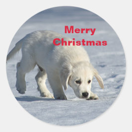 Golden Retriever Runder Aufkleber
