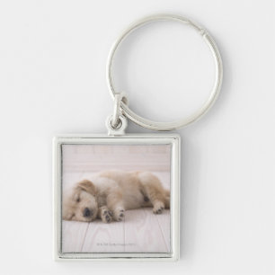 Golden retriever schlüsselanhänger