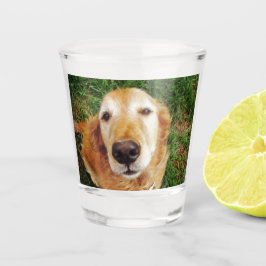 Golden Retriever Schnapsglas