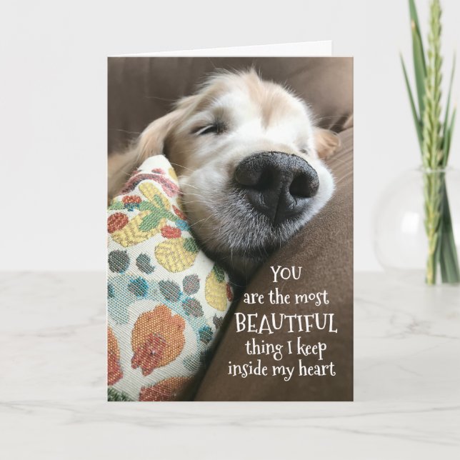 Golden Retriever Schöne Sache Valentinstag Feiertagskarte (Vorderseite)