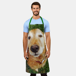 Golden Retriever Schürze