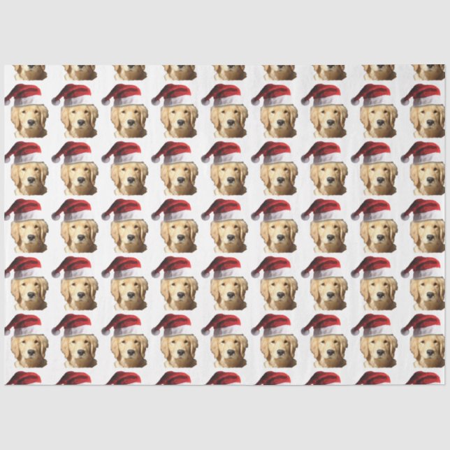 Golden Retriever Seidenpapier (Vorderseite)
