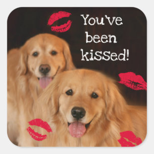 Golden Retriever Sie wurden geküsst Quadratischer Aufkleber