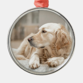Golden Retriever Silbernes Ornament