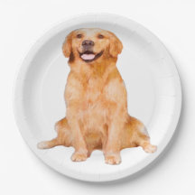 Golden Retriever Sitzen