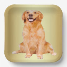 Golden Retriever Sitzen