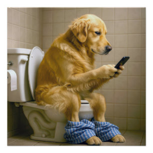 Golden Retriever sitzt auf der Toilette und schrei Poster