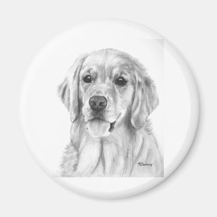 Golden Retriever Sketch Magnet