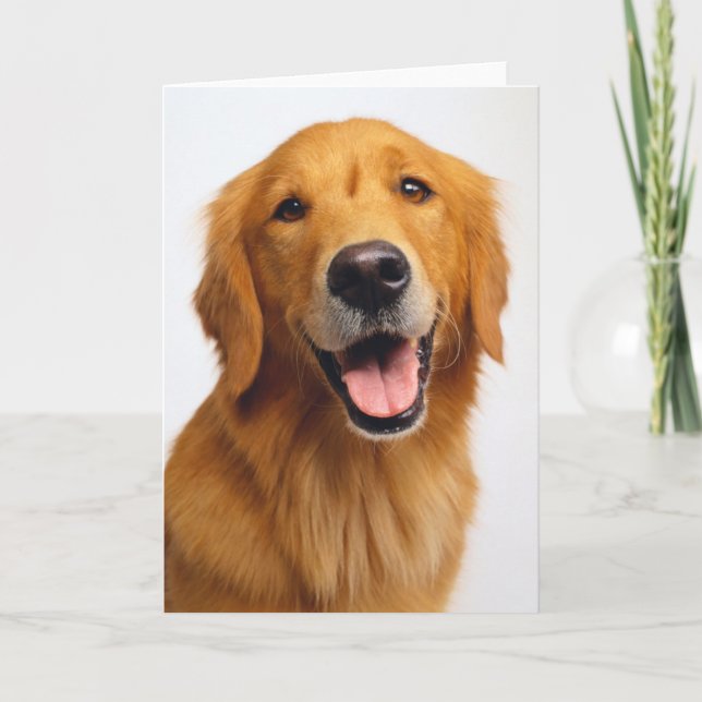 Golden Retriever Smile Karte (Vorderseite)