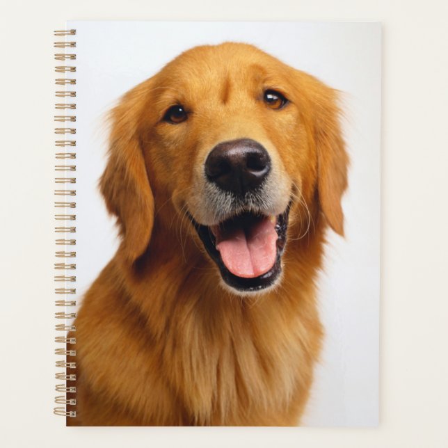 Golden Retriever Smile Planer (Vorderseite)