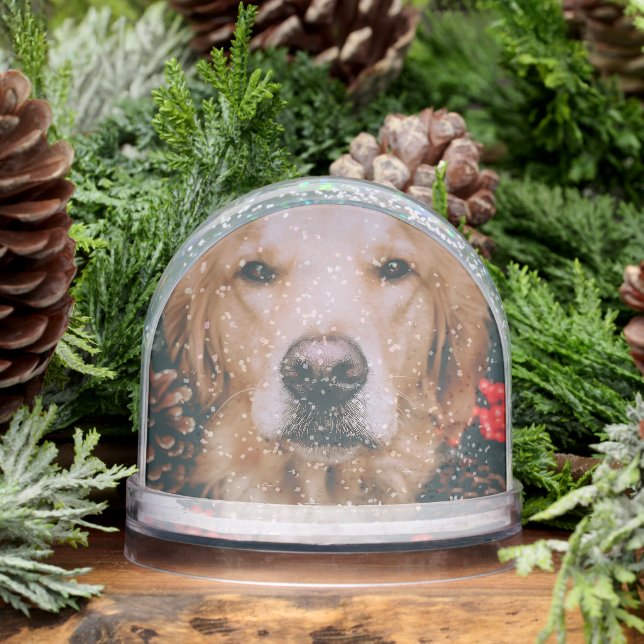 Golden Retriever Snow Globe Doigt Snow Globe (Hiver)