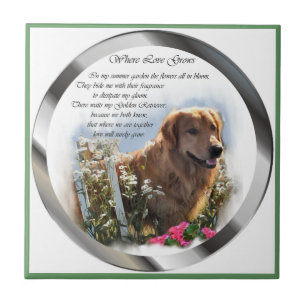 Golden Retriever Sommergarten Fliese