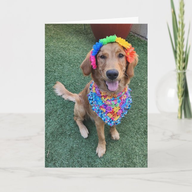 Golden Retriever Sommergrusskarte Dankeskarte (Vorderseite)
