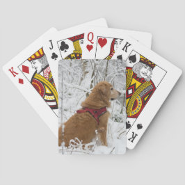 Golden Retriever Spielkarten