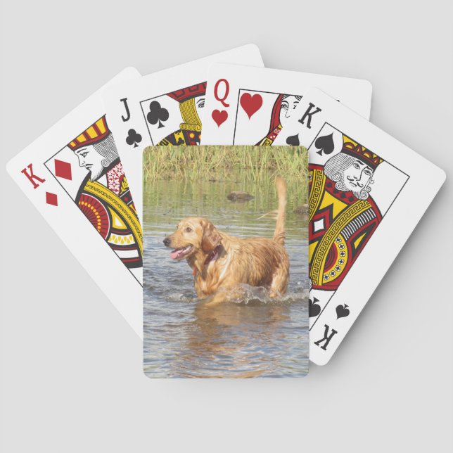 Golden Retriever Spielkarten (Rückseite)