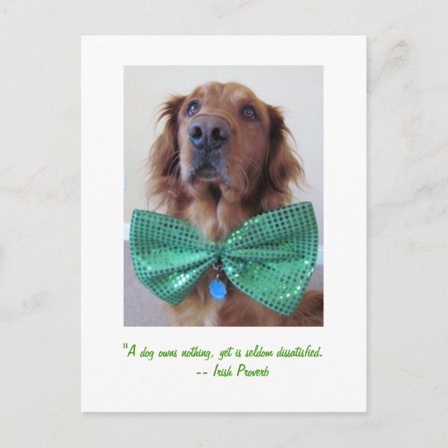 Golden Retriever St. Patrick's Day Postcard Postkarte (Vorderseite)