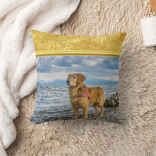 Golden Retriever stehend auf blauem Meeresfelsen Kissen