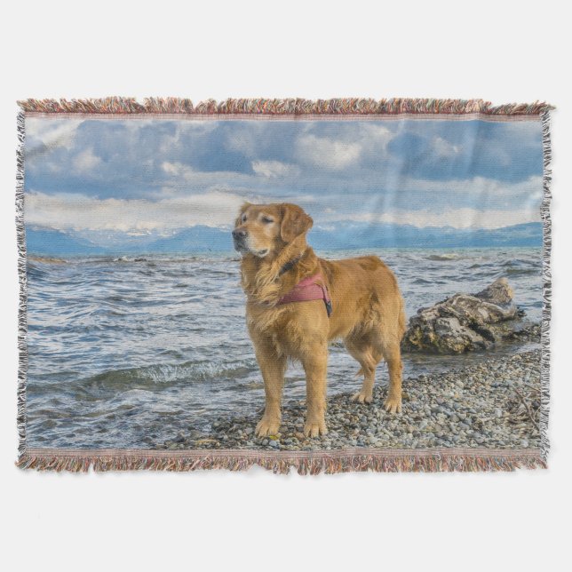 Golden Retriever stehend auf dem blauen Meeresfels Decke (Vorderseite)