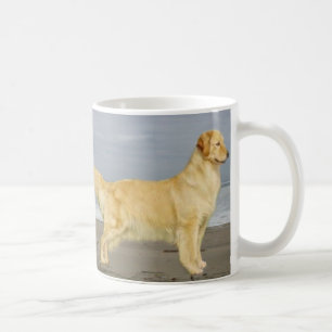 Golden retriever sur la tasse de plage